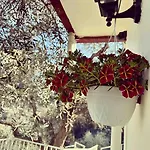 Sunny-hill Appartement