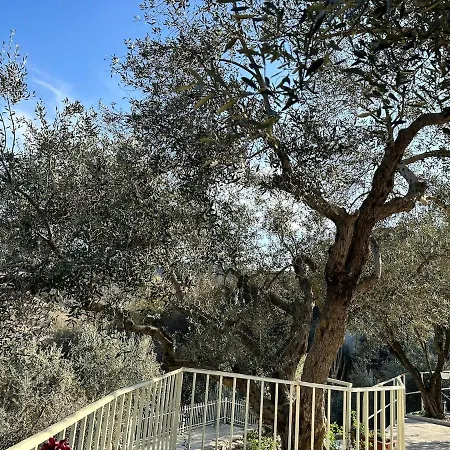 Apartment Sunny-hill Mjull-Bethore