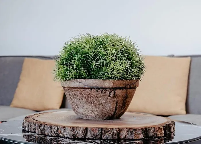 Sunny-hill * Mjull-Bathore