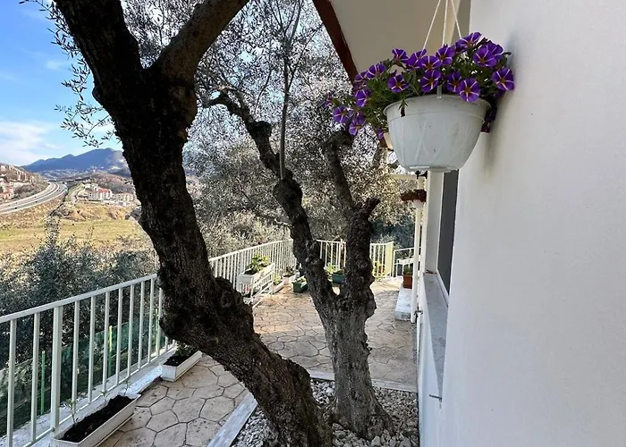 Sunny-hill * Mjull-Bethore