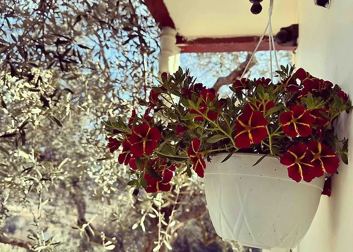 Sunny-hill Apartment