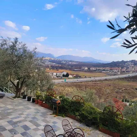 Sunny-hill * Mjull-Bethore