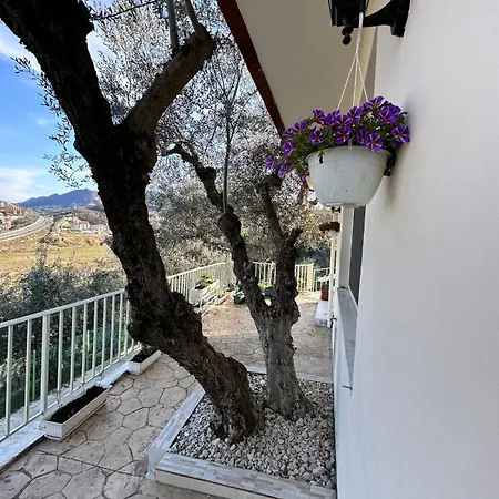 Sunny-hill * Mjull-Bethore