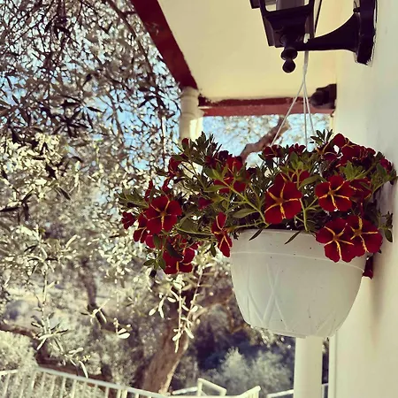 Sunny-hill Apartamento