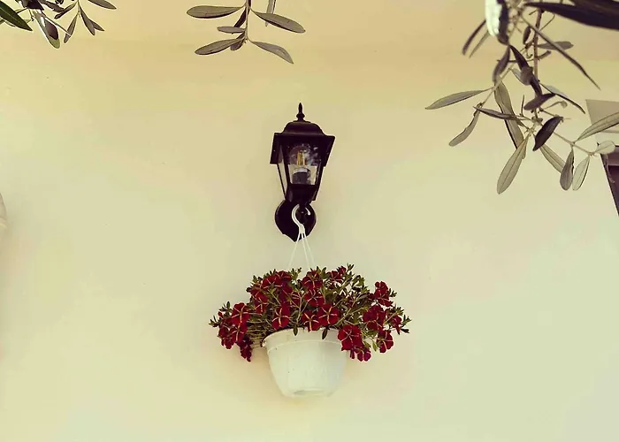 Sunny-hill Mjull-Bathore