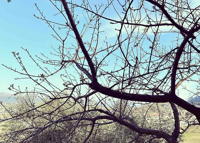 Apartment Sunny-hill